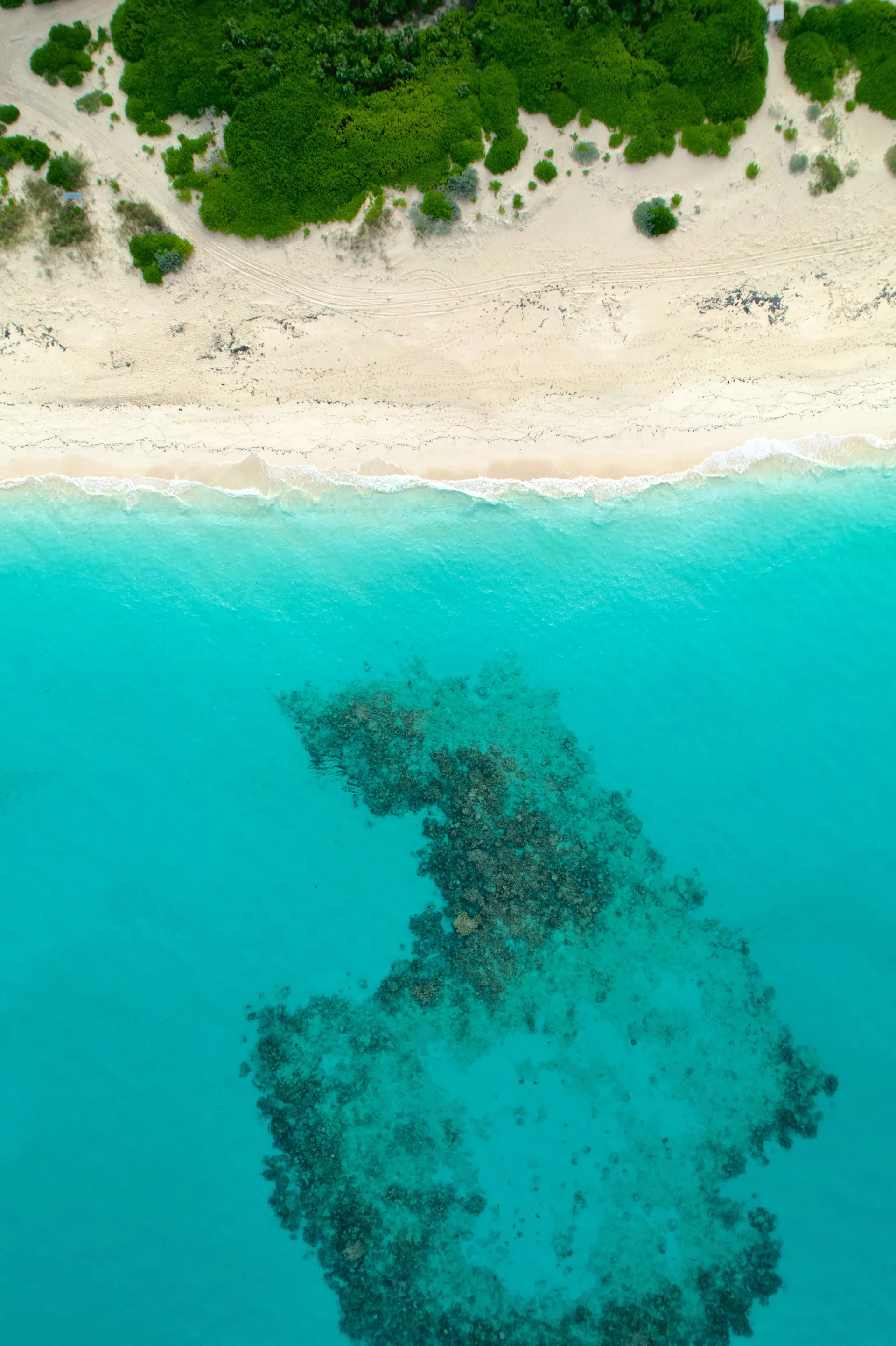 Туры в Багамские острова