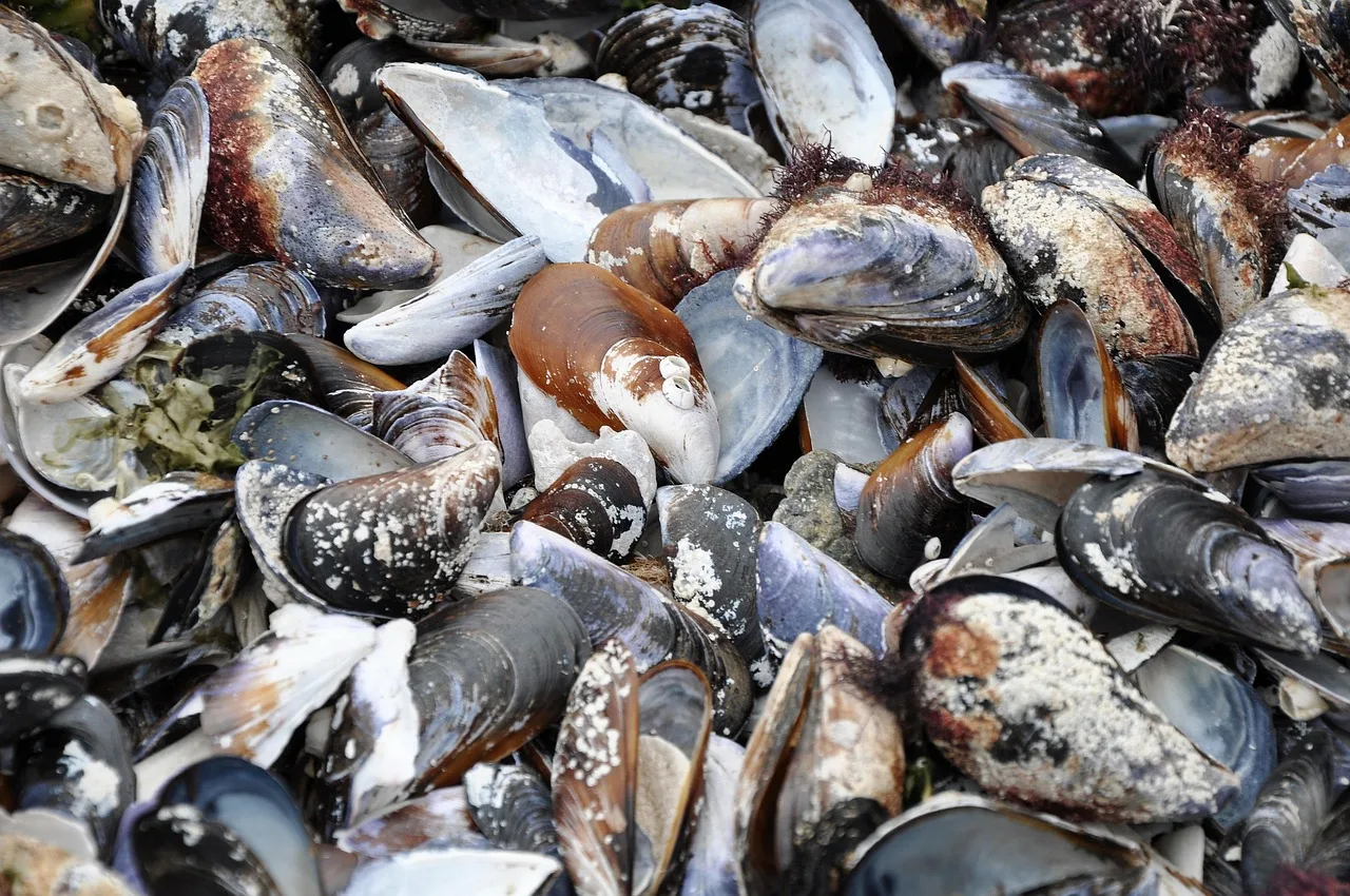 Туры в Болгария