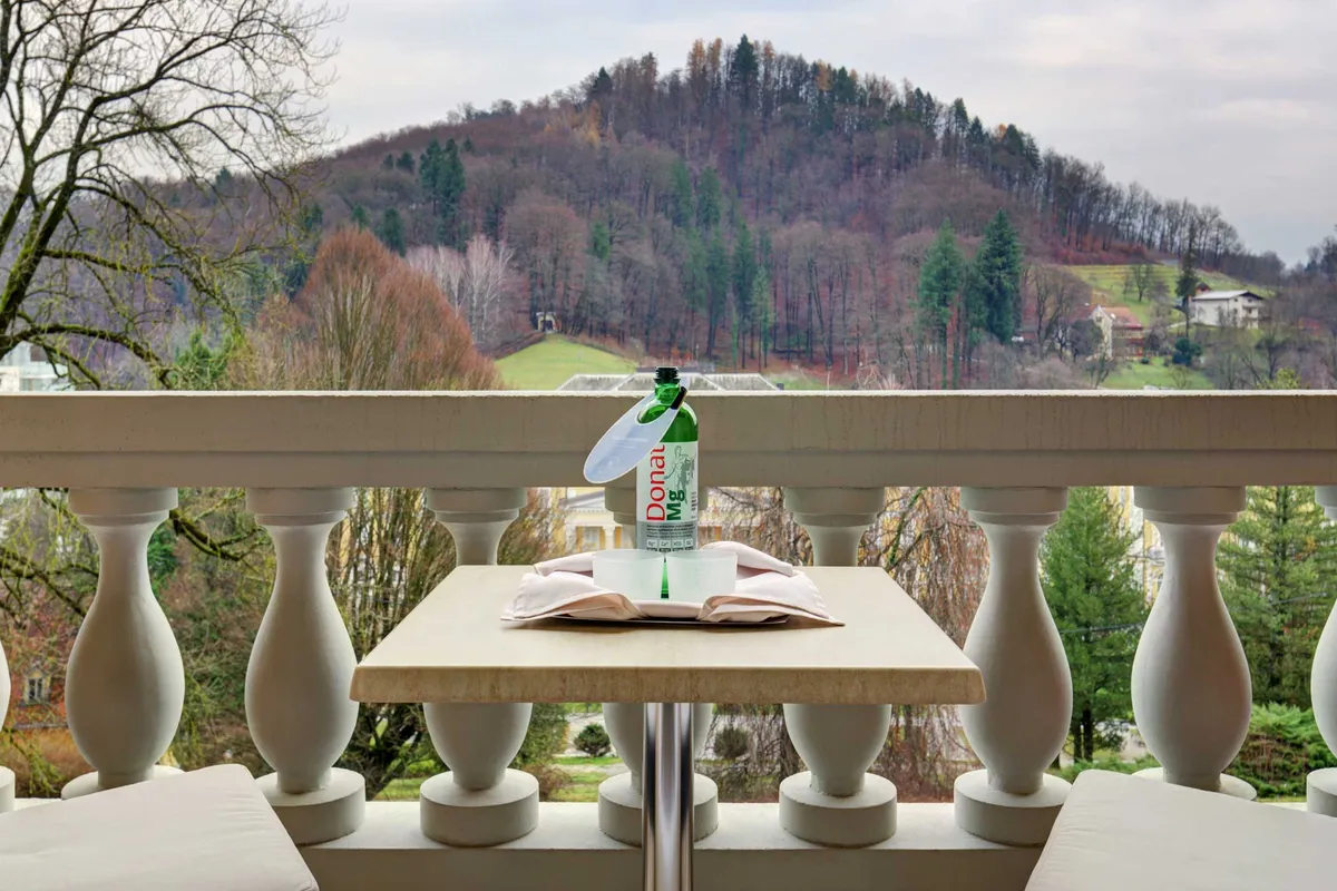 Hotel Aleksander Medical & SPA