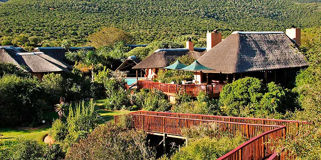 Lobengula at Shamwari Private Game Reserve