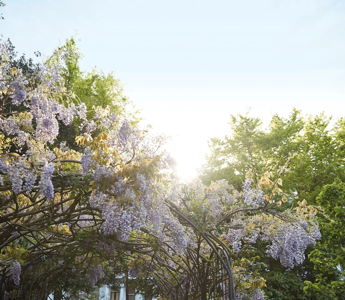 The Cadogan, A Belmond Hotel, London (ex. Belmond Cadogan Hotel London)