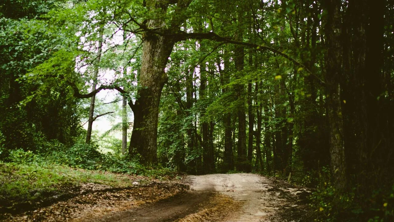 Grand Hilton Эль-Тартер