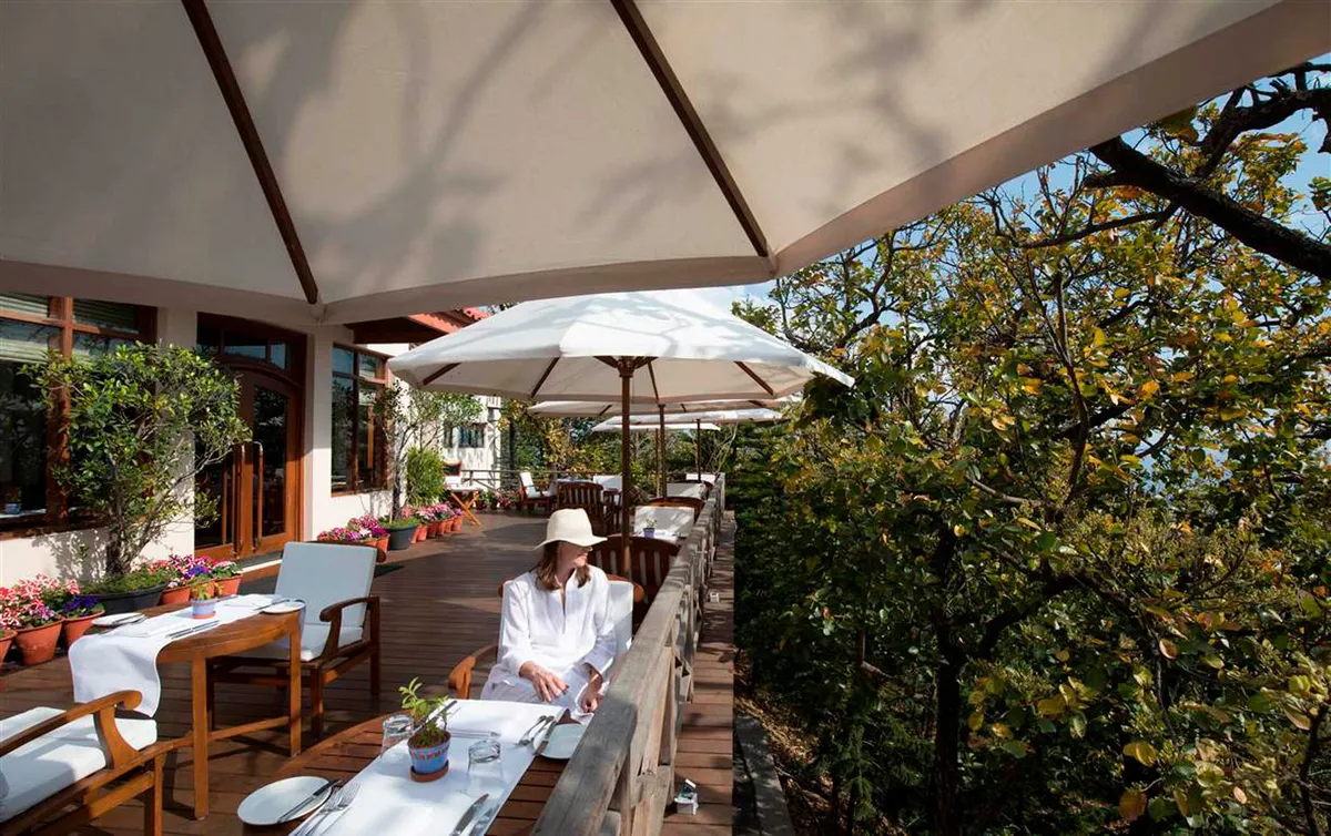 Ananda In The Himalayas