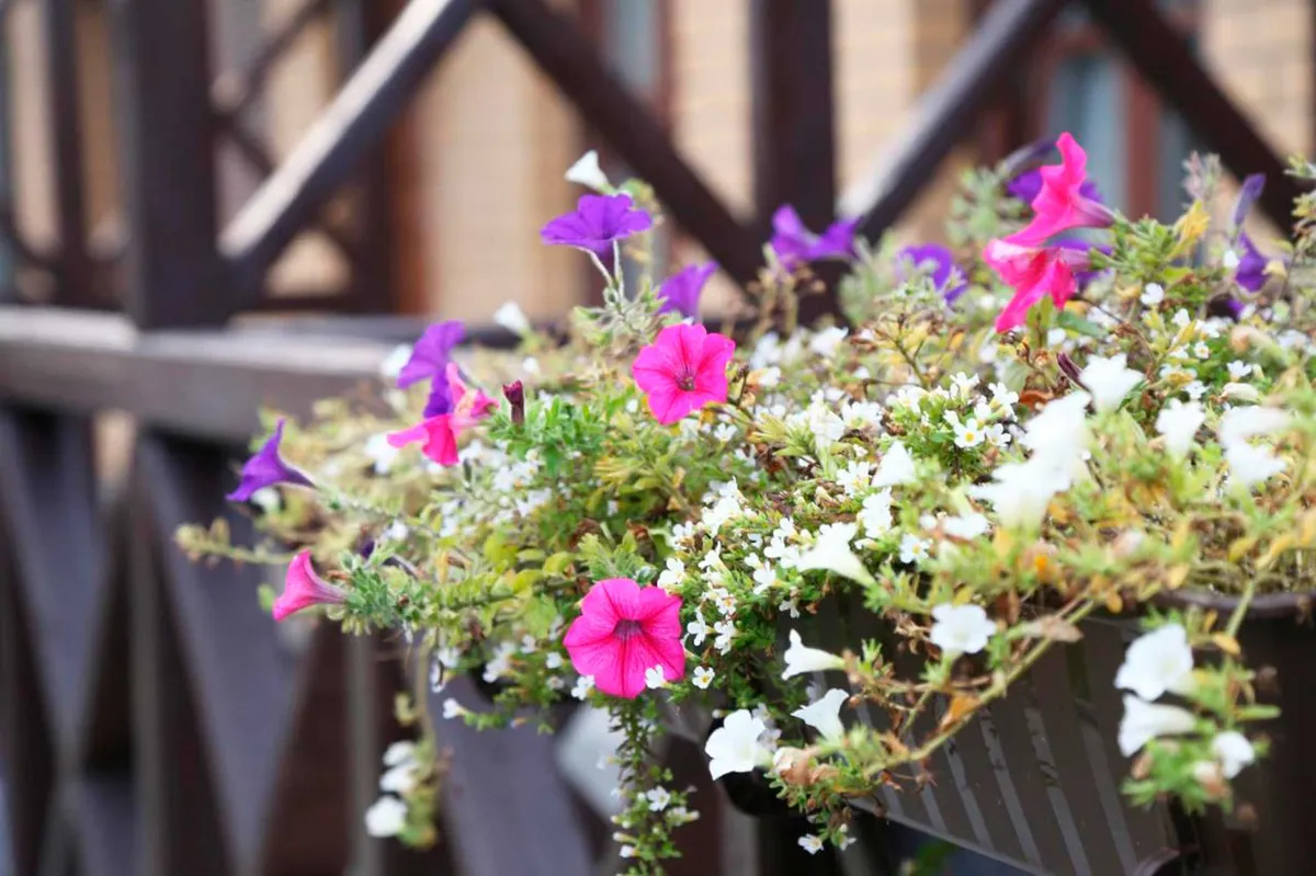 Отель Монастырский