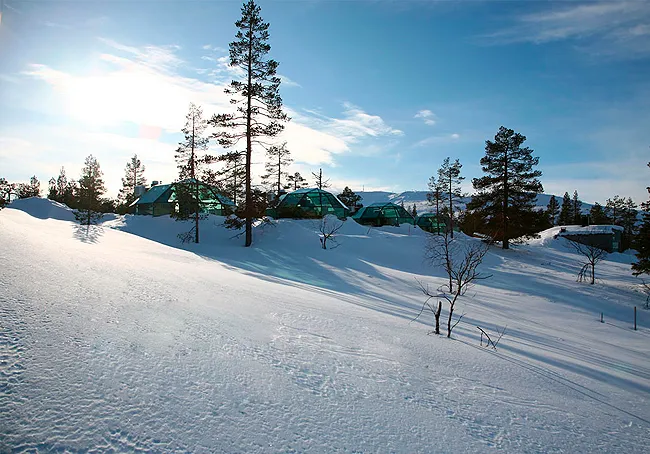 Golden Crown – Levi Igloos