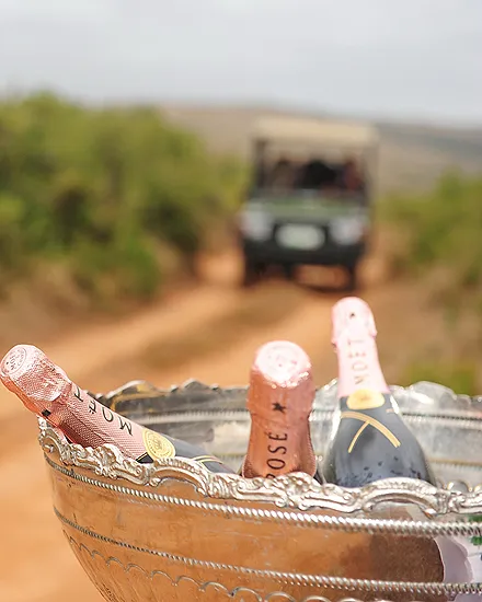 Long Lee Manor at Shamwari Private Game Reserve