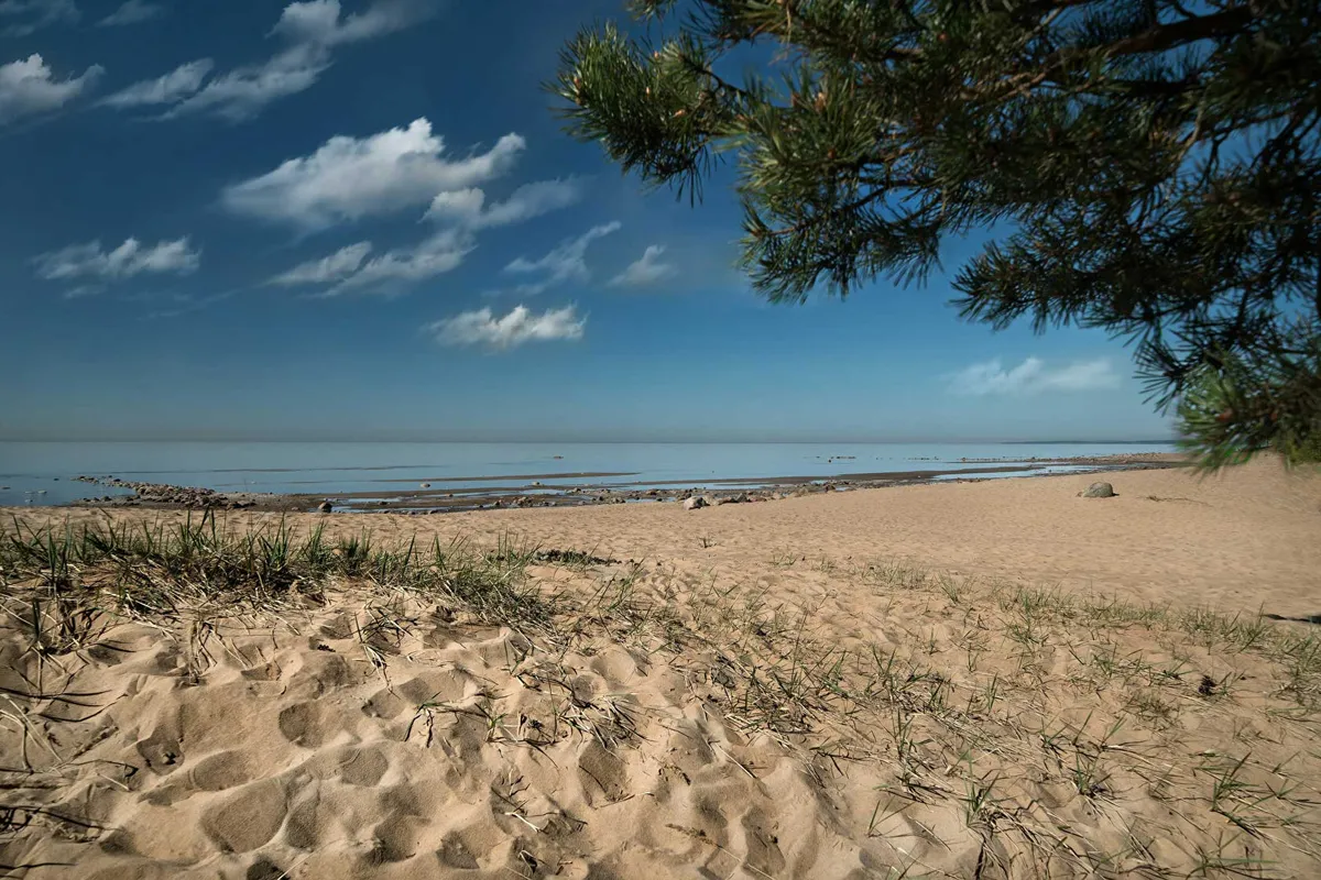 Первая линия. Health Care Resort (г. Зеленогорск)