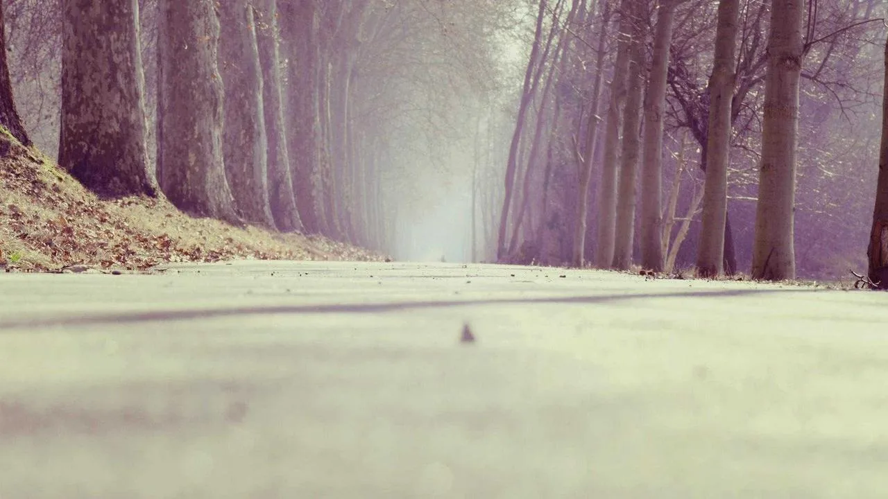 Grand Grand Hyatt Канильо