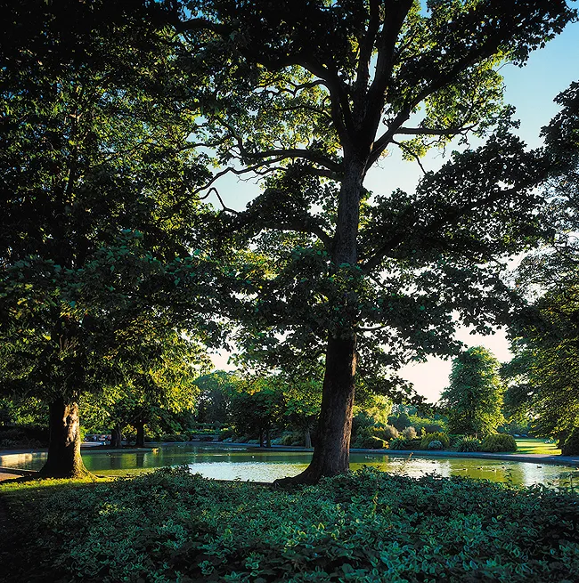 InterContinental Dublin (ex. Four Seasons Hotel Dublin)