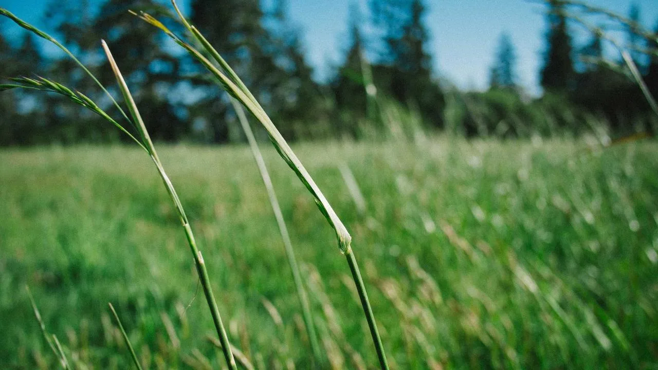 Fairmont Краков Palace