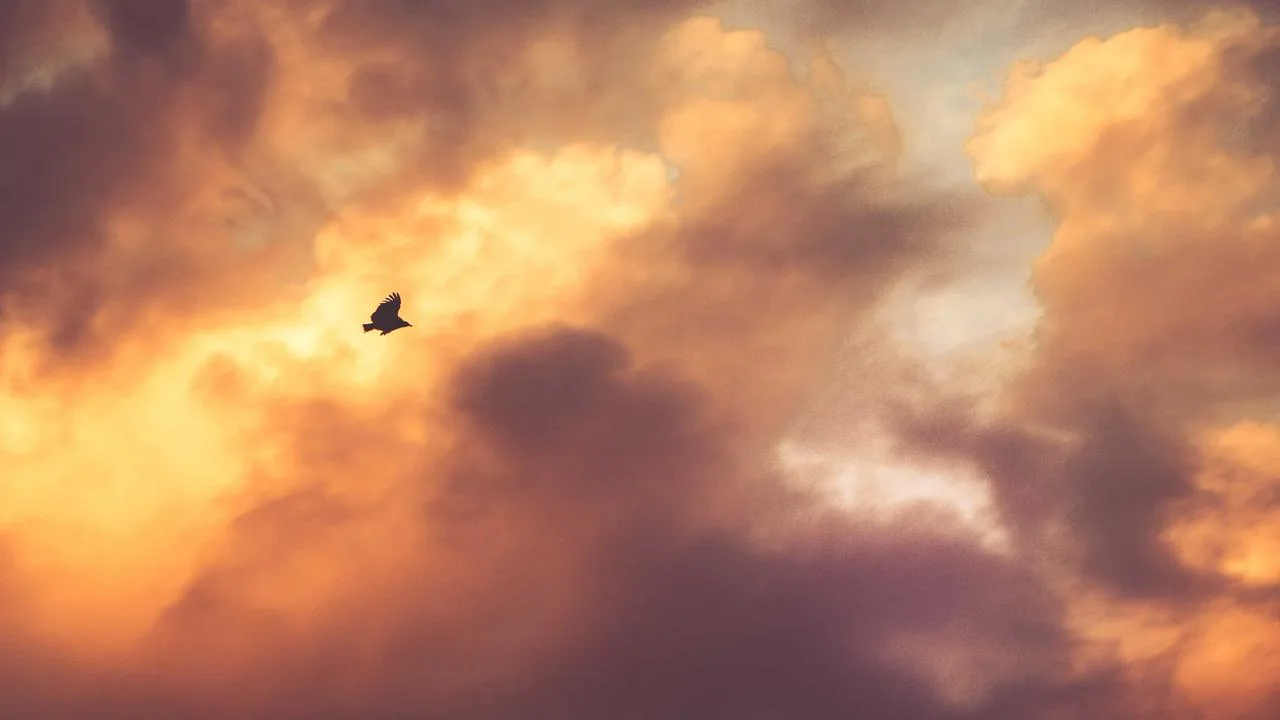 Ritz-Carlton Краков Palace