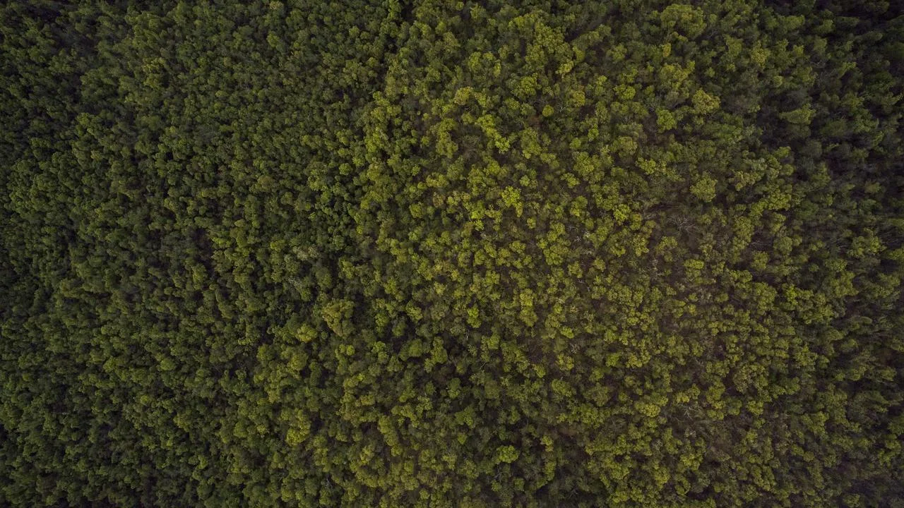 Ritz-Carlton Ла-Кортинада