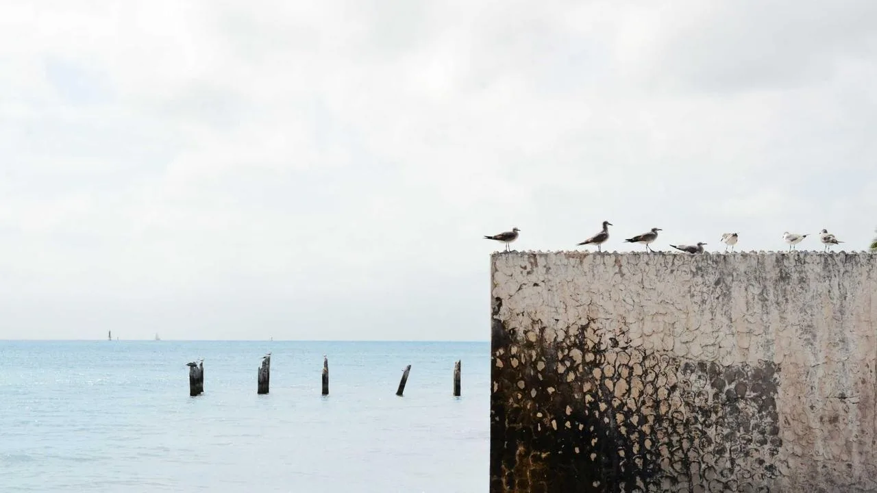 Grand St. Regis Лапландия