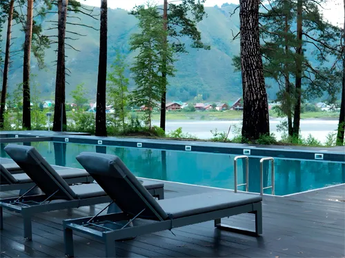 Хвоя в горах