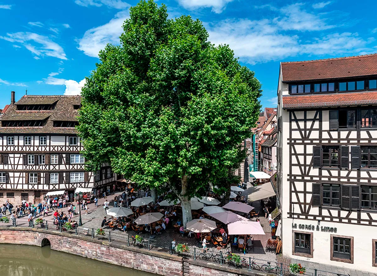 Hotel Regent Petite France & Spa