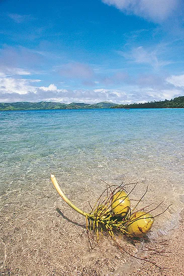 Dolphin Island Fiji (Dolphin Island)