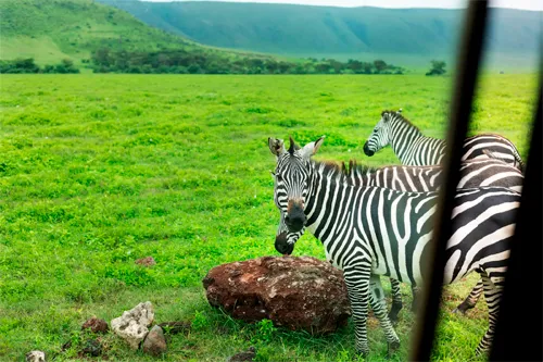 Ngorongoro Lodge Melia Collection