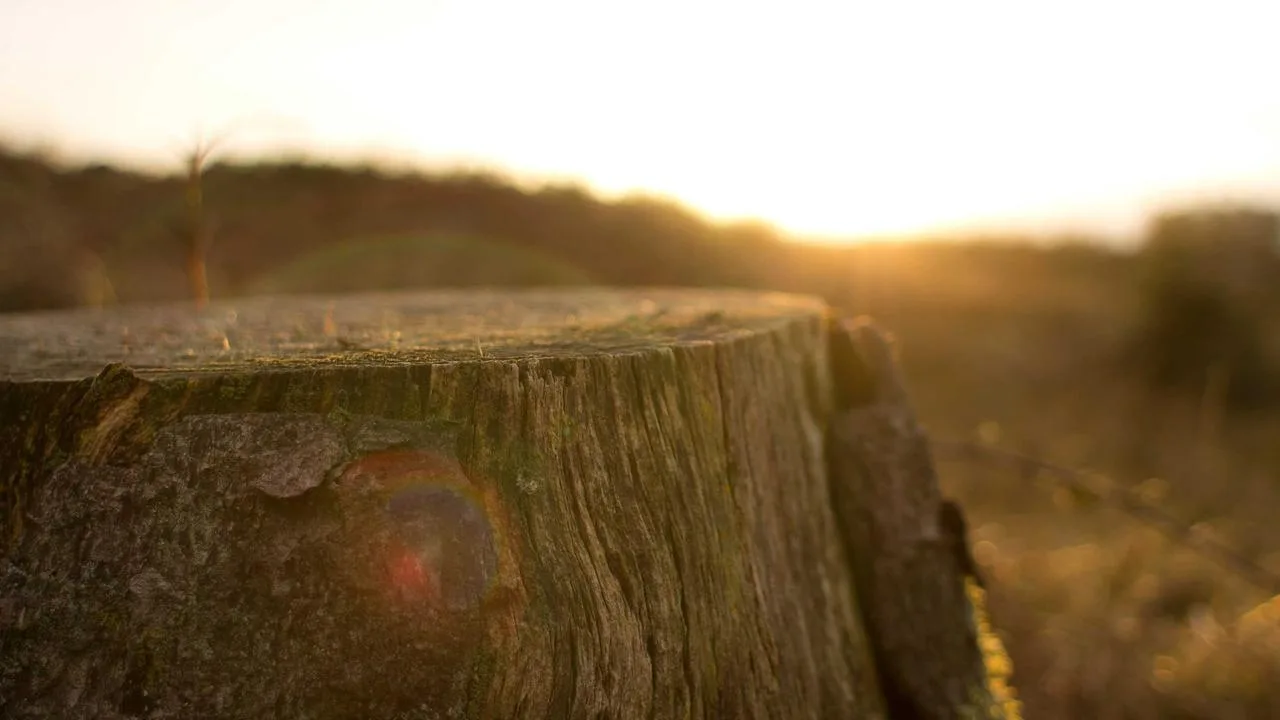 Grand Holiday Inn Ордино-Аркалис