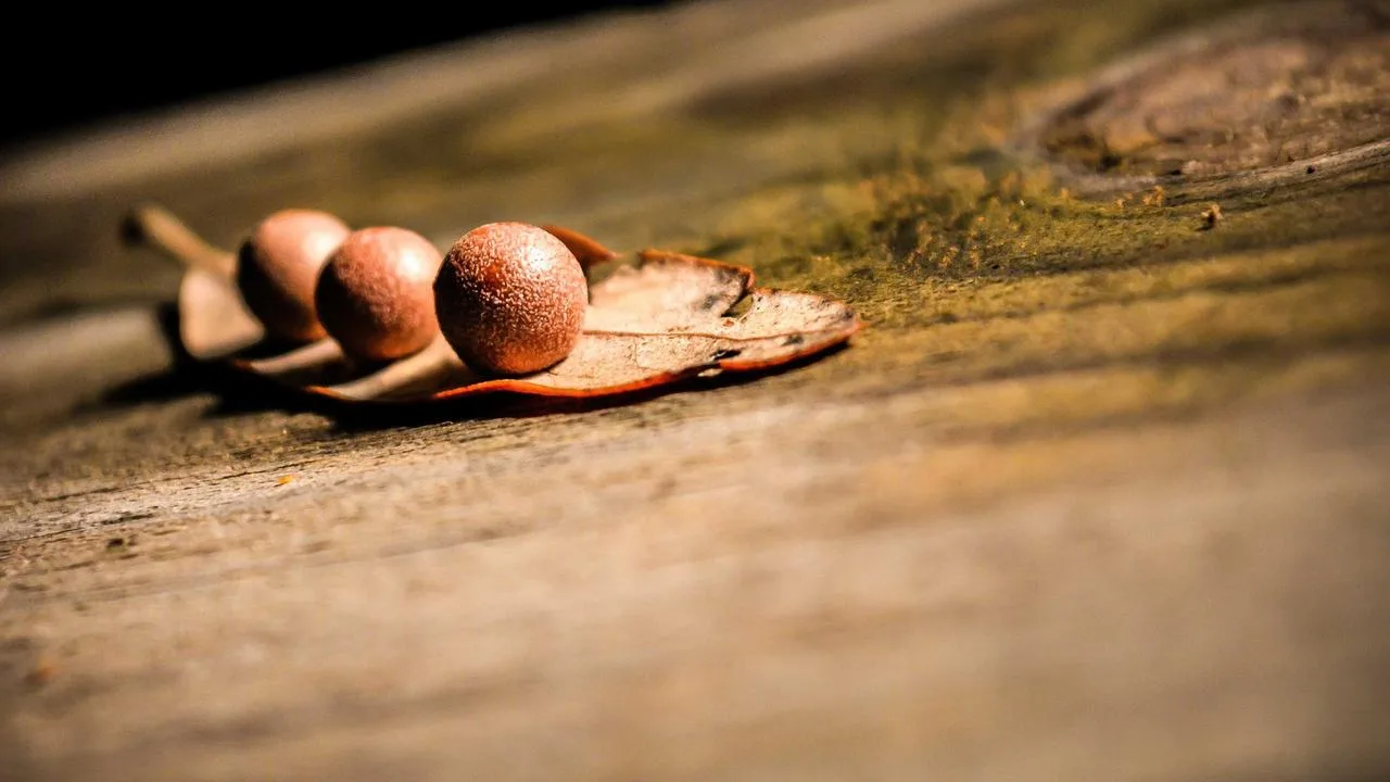 Radisson Blu Пас-де-ла-Каса Resort & Spa