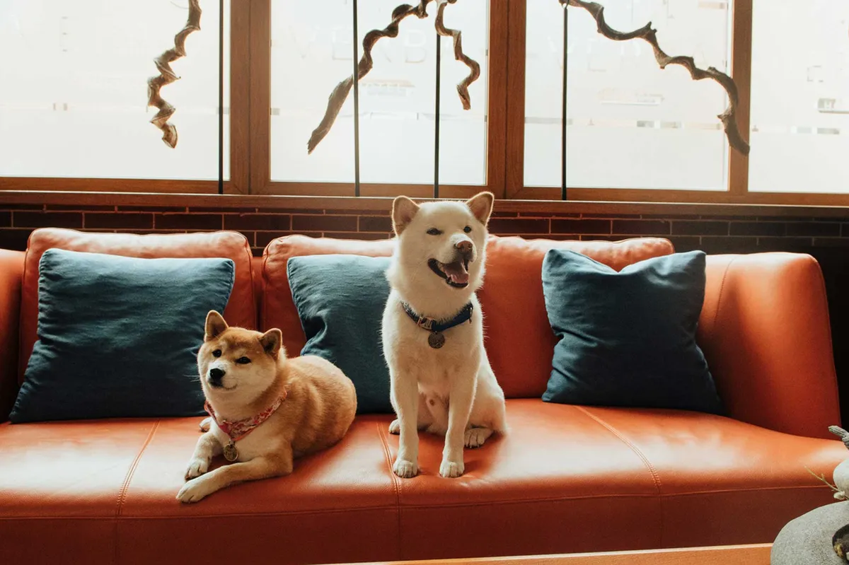 AZIMUT Сити Отель Хабаровск (ex. Verba Hotel)