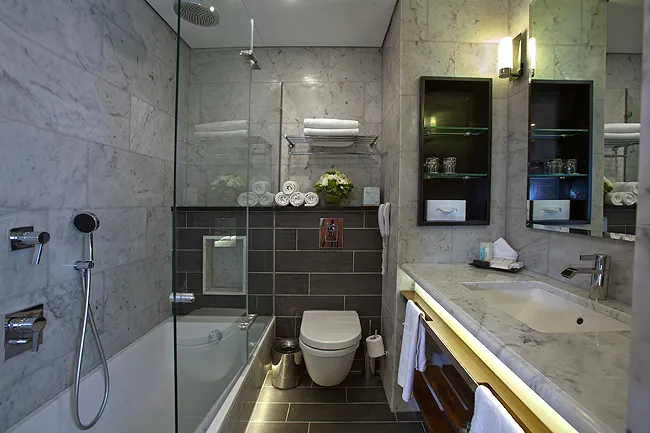 The David Citadel Hotel