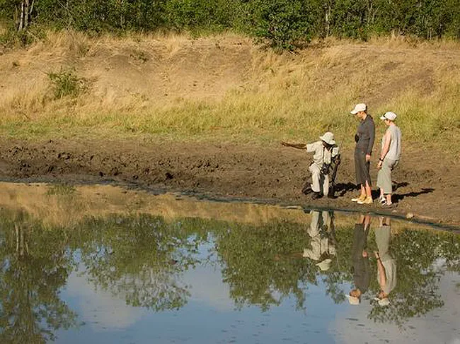 Ngala Private Game Reserve - Main Camp