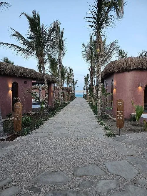 Joud by the sea (Jambiani beach)